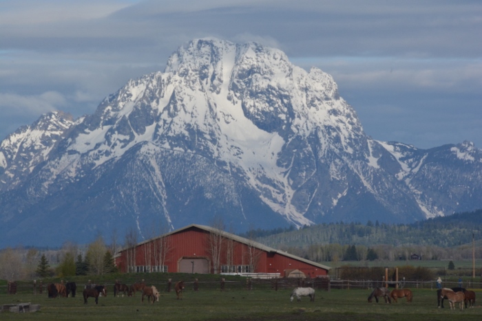 The Tetons with ranch in foreground